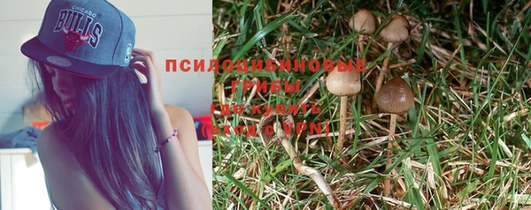 мяу мяу мука Нестеровская