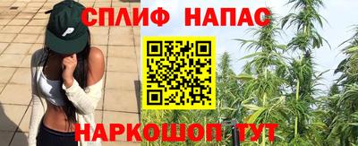 мяу мяу мука Балаково