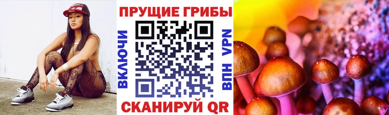 Галлюциногенные грибы Cubensis  Владивосток 