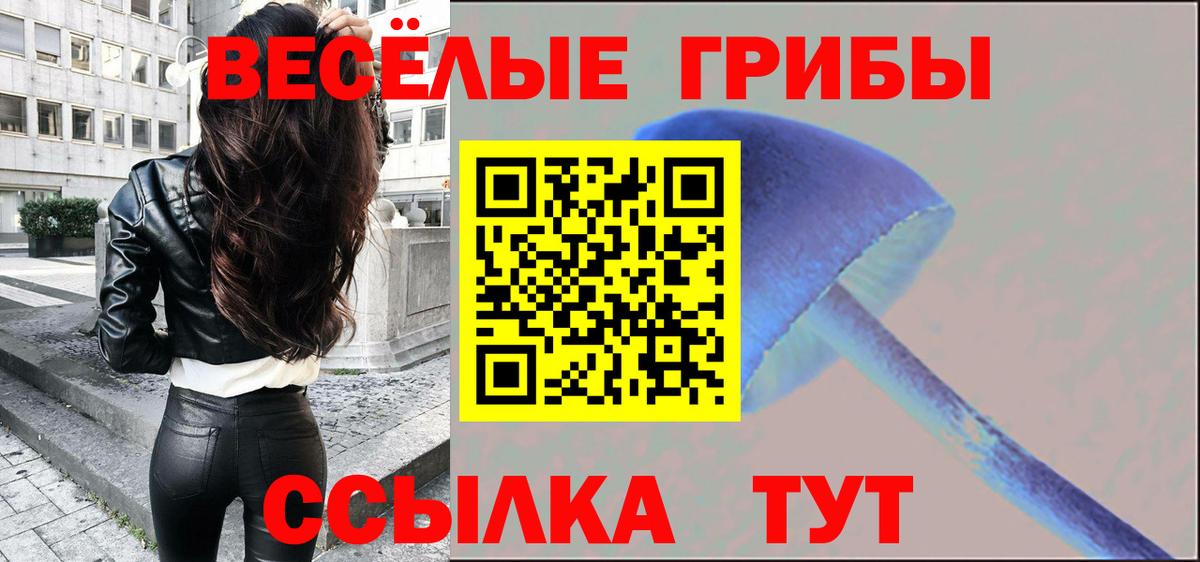 Галлюциногенные грибы MAGIC MUSHROOMS Владивосток